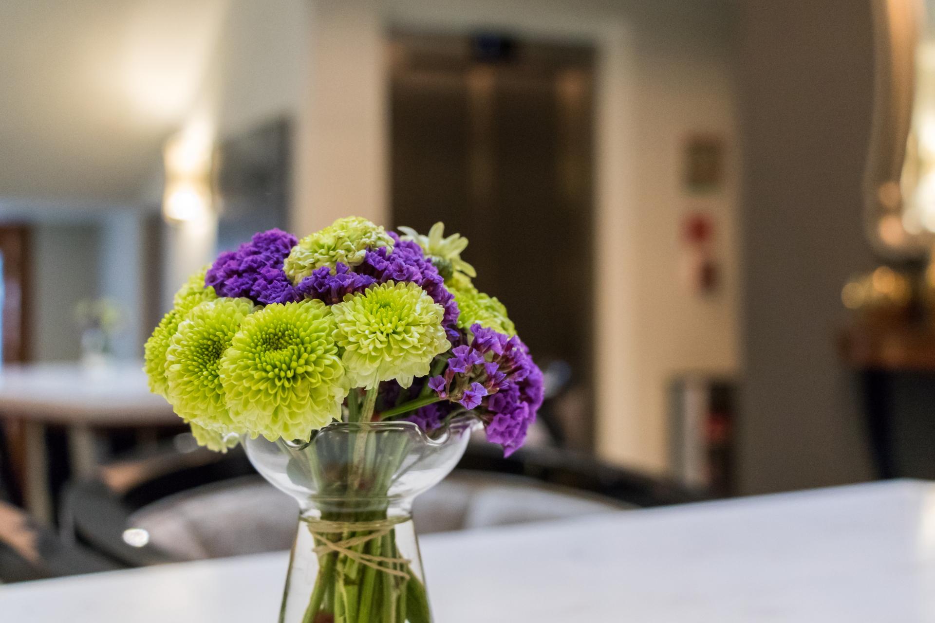 Casa Mali By Dominion Boutique Hotel Mexico City Luaran gambar